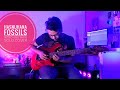 Hasnuhana  fossils intro and main solo cover  rajib dey music  rupamislam mrmitter