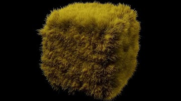 3D grass animation realistic wind simulation made in blender 3.4