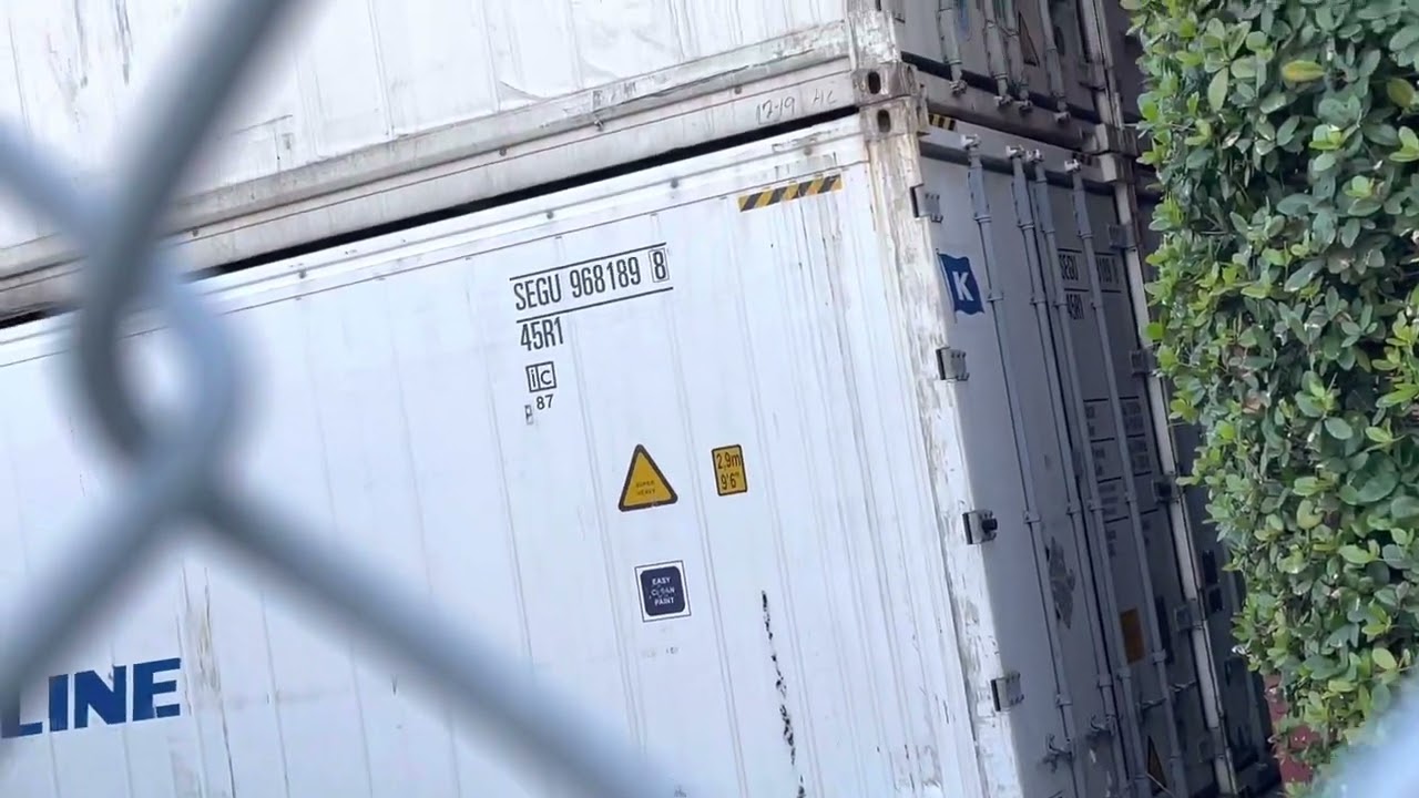 海上コンテナを観察！(その40)