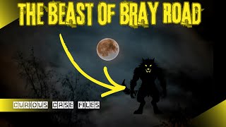 Did I Just See a Real Werewolf on This Road?