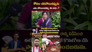 కోడలు మీద లేదా 😱 PUBLIC FIRES ON HARI BABU MOTHER | HARI BABU MOTHER RECENT VIDEO
