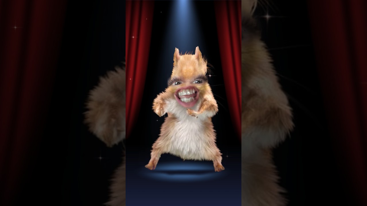 The dancing Squirrel 