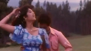 Dharamakshetram Movie Cheli Nadume Andham Video Song Balakrishna,Divya Bharati