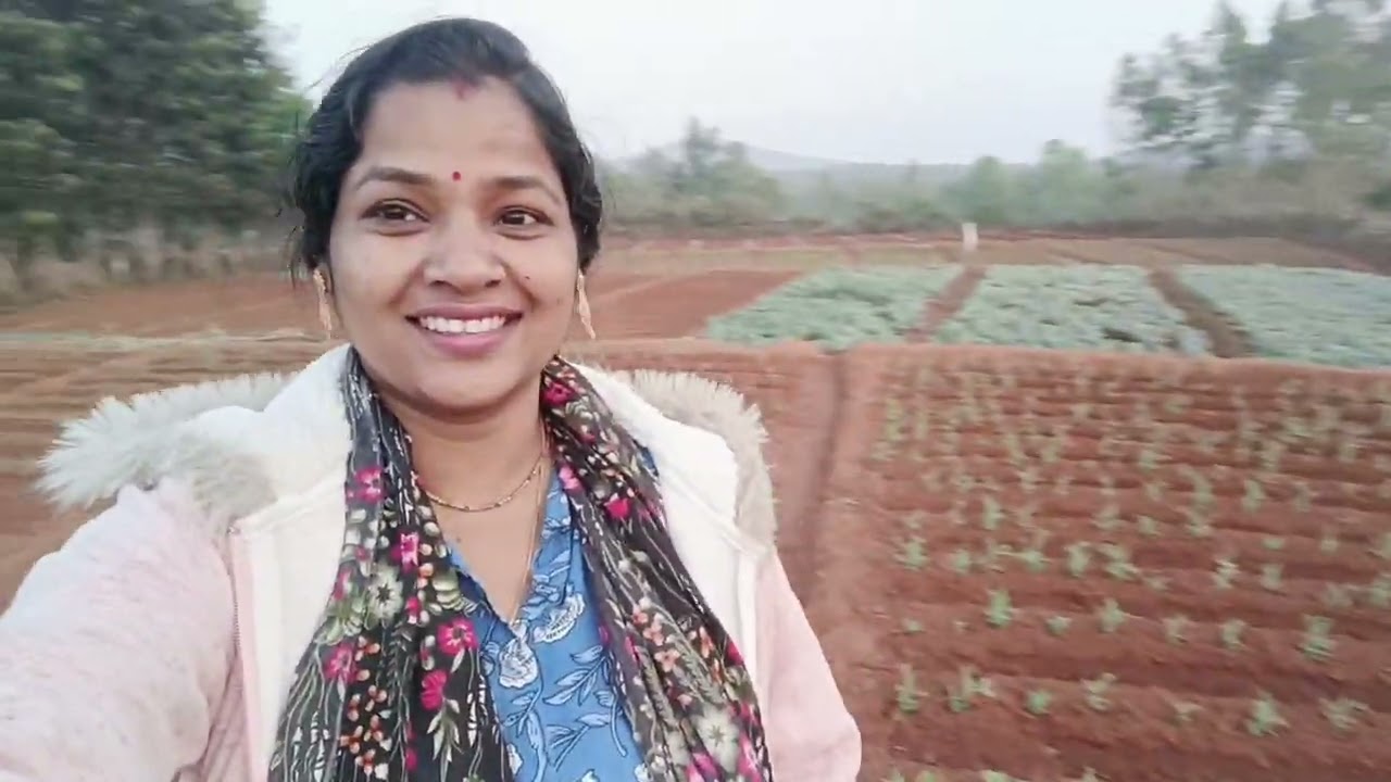 ଆଜି ସବୁ walk ରେ ଚାଲିଲୁ କୋବି ଆଣିବାକୁ 