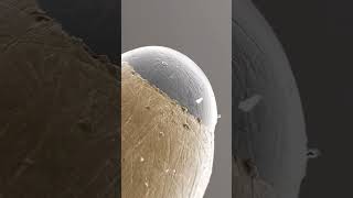 Zooming 10,000x into a Ballpoint Pen!POV: You’re stuck in an infinite loop... 😵💫The Secret