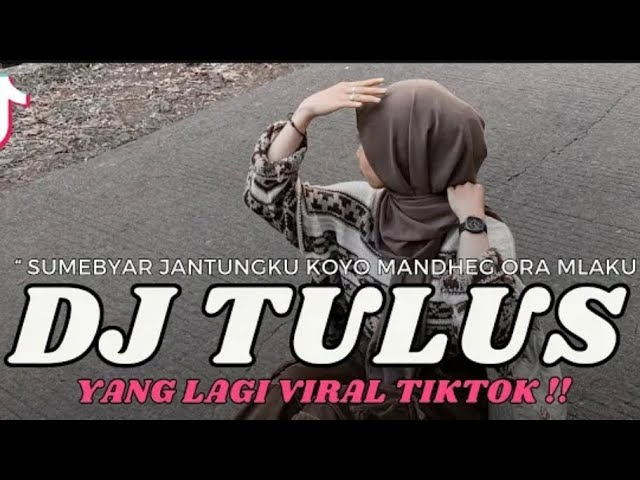 DJ SUMEBYAR JANTUNGKU KOYO MANDHEG ORA MLAKU‼️DJ TULUS VIRAL TIKTOK YG KALIAN CARI class=