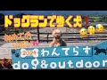 やまてらすドックマルシェ! /わんこと思い出作りの旅　　#わんこマルシェ #トイプードル #わんこイベント#ヴォクシー