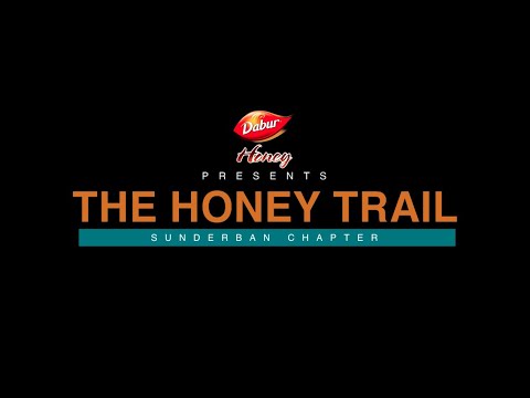 The journey of pure honey from the Sunderban Beehive to your Breakfast Table