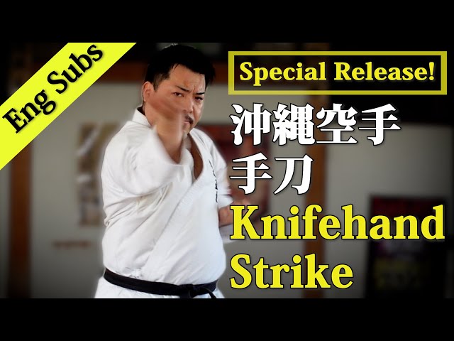 Very dangerous technique "SHUTOU(Knife-hand strike)" ｜実はとても危険な技「手刀」｜八木一平  Ippei Yagi｜剛柔流 gojyu-ryu｜