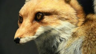 五味文彦さんの作品　ホキ美術館　3つの個性　─ 表現の可能性を探る ─