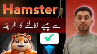 Hasmster Combat || How to Withdraw Funds || Tonkeeper Wallet Full Guide