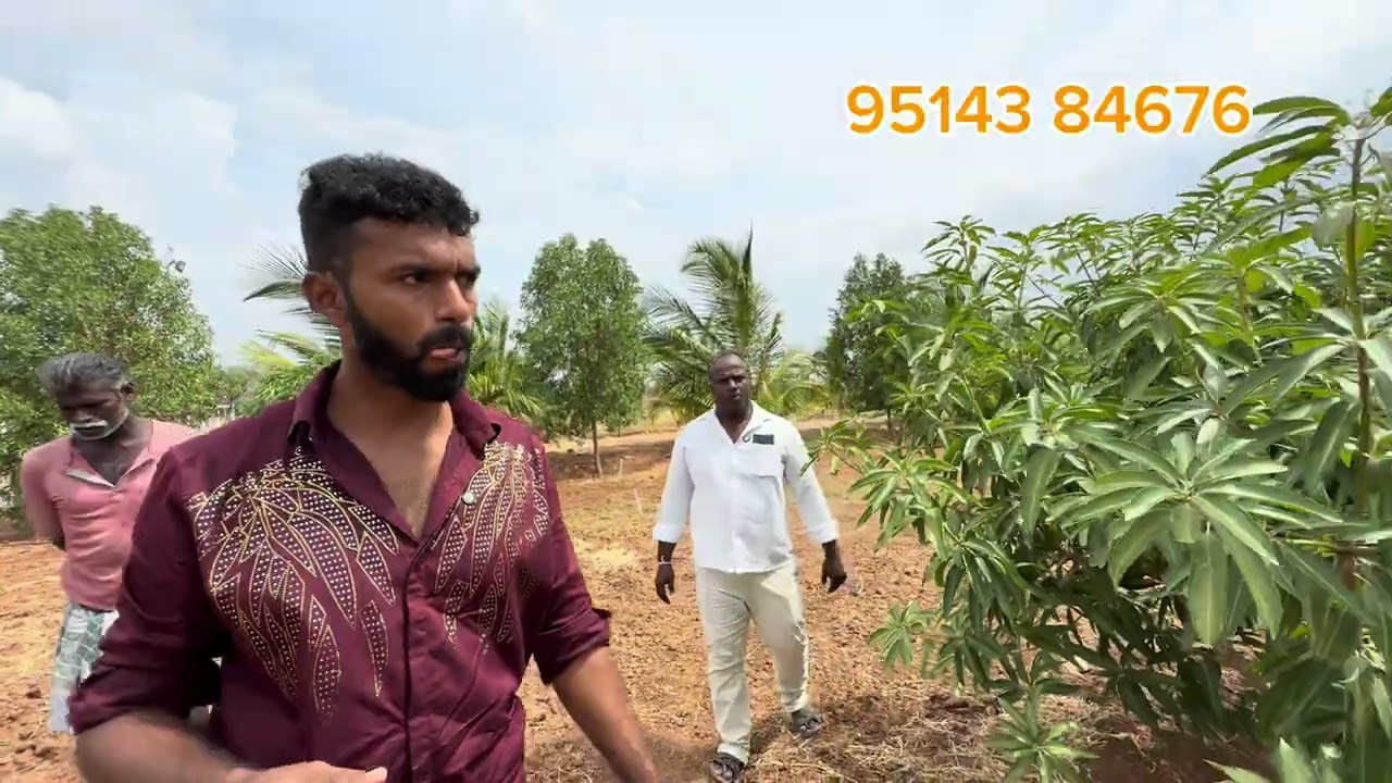 திருநெல்வேலியில் இருந்து 15 கிலோமீட்டர் தொலைவில் அருமையான தோட்டம் விற்பனைக்கு வந்துள்ளது