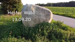 Waldrand Haste Dji Mavic Mini Drohnenvideo