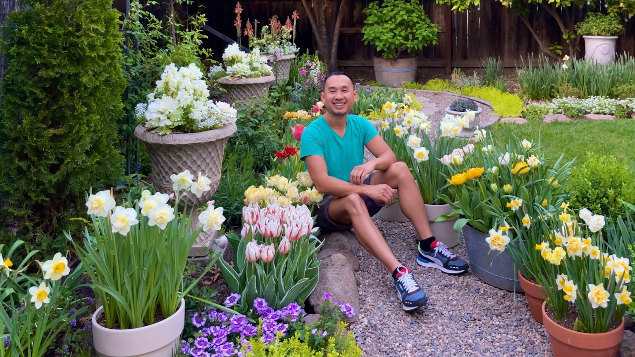 Daffodils, Tulips & Foxgloves - April 2022 | Gardening