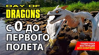 С РОЖДЕНИЯ ДО ПЕРВОГО ПОЛЕТА - Day of Dragons - Пособие для новичков