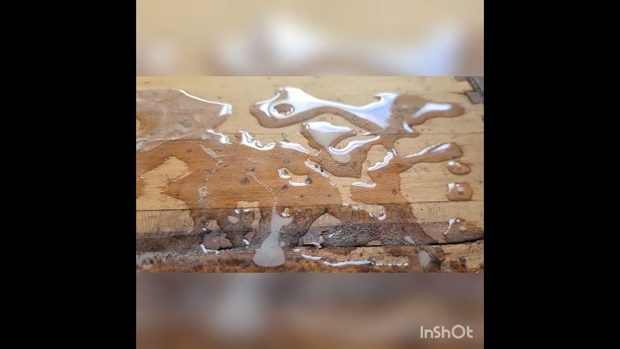 Removing roach dropping stains from furniture YouTube