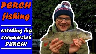 PERCH FISHING| how to catch BIG commercial fishery PERCH!