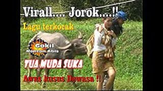Virall !!  Not Sensor Porno kocak lucu tua muda suka /  St19tv