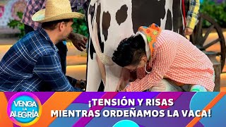 ¡Tensión y risas Ordeñando a la Vaca! | Programa 16 de agosto 2024 PARTE 1 | Venga La Alegría
