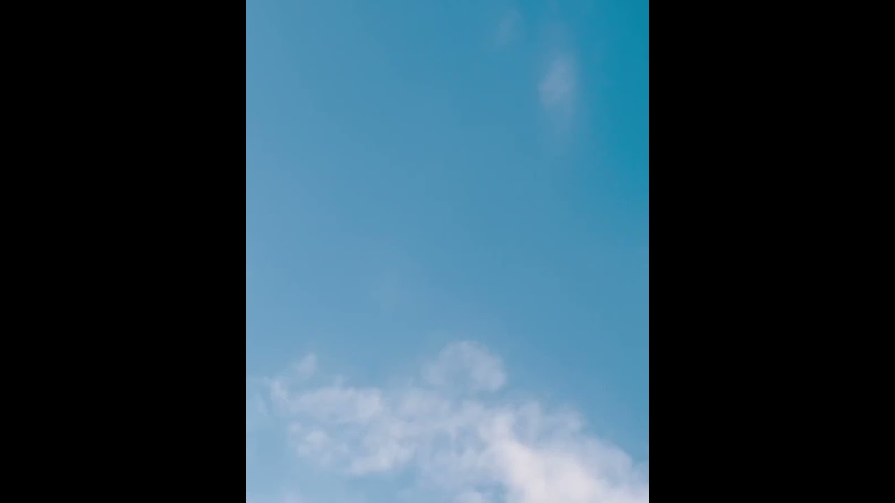 Sonic The Hedgehog Twitter Movie Trailer