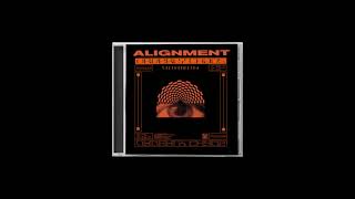Celebrity Alignment - Future Dancefloor [VNR043] Net Worth