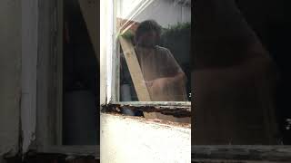 Refurbishing a rotted window frame #woodworking #diy #construction
