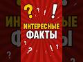 Почему мозг блокирует информацию в споре