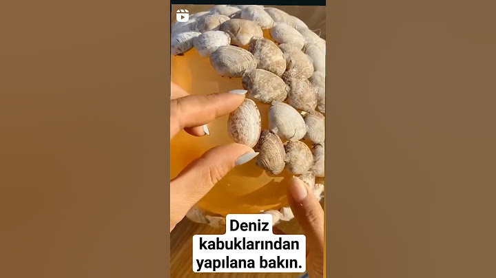 Deniz kabuğundan gece lambasına. #lamba #diy #ideas #deniz #denizkabuğu #şişe #cam #trending