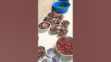 Tất cả các món cho bữa tiệc hôm nay - tronpiu vlog #shorts