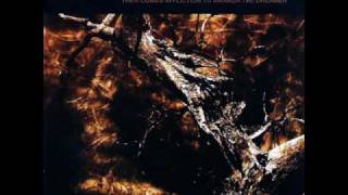 Twisted into Form - Torrents