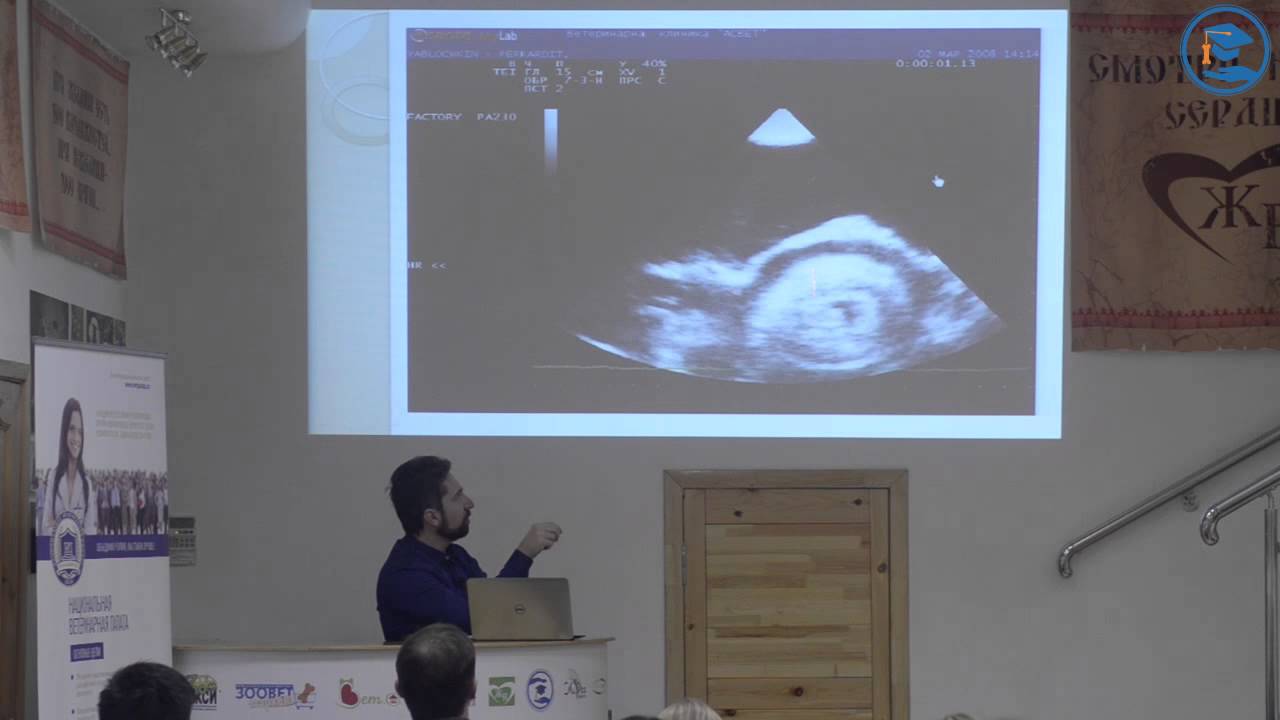 «Патологии перикарда», А. Н. Бокарев