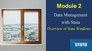 3 Basic #Stata interfaces for managing data