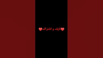سورة القلم بصوت جميل #أجر_لي_ولكم #القرآن_الكريم #سورة_القلم