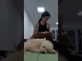 Puppy yoga! Йога с щенятами, йога для начинающих 🥰. Мое первое занятие с йоги!!!