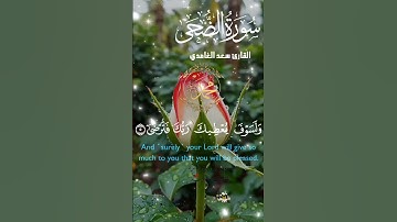 تلاوة خاشعة عطرة مباركة جميلة عذبة مميزة طيبة للشيخ سعد الغامدي سورة الضحى