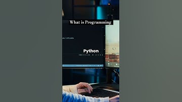 What is Programming? The Essential Beginner