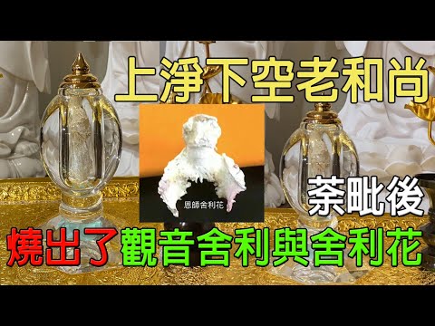 🙏上淨下空老和尚圓寂🙏荼毗大典 精華片段合集🙏