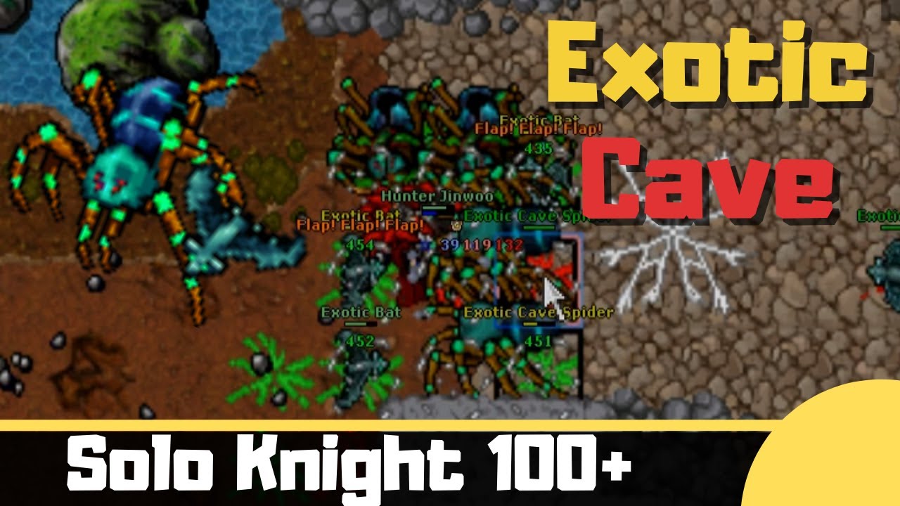 Hunt for Mages level 100+ in Exotic Cave (Spiders + Bats + GFBs