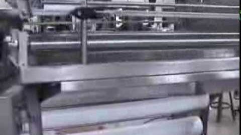 DEL Overcapper with Coupon/Leaflet Placer and Cap Loader (FAT footage taken at Del)