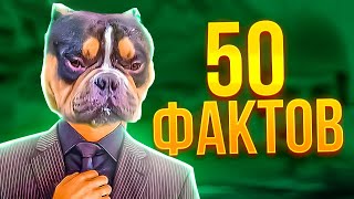 50 ФАКТОВ про ВОЛОДЮ. (KXRVINHO)