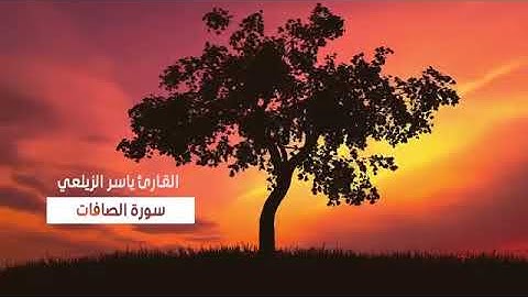 القارئ ياسر الزيلعي  سورة الصافات