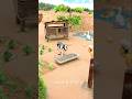 Mini Cow Water Tank 🐄💧 | Amazing Miniature Village Life #shorts #minitoys #toyworld