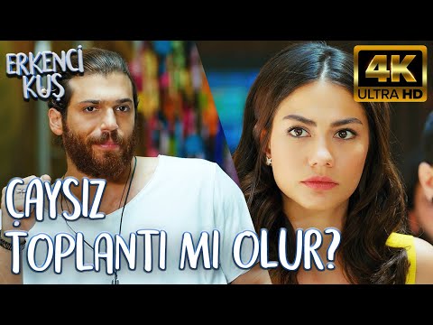 NE DEMEK ÇAY YOK? (4K ULTRA HD) | Erkenci Kuş