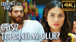 Ne Demek Çay Yok? 4K Ultra Hd Erkenci Kuş