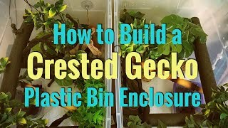 How to Build a Crested Gecko Plastic Bin Enclosure