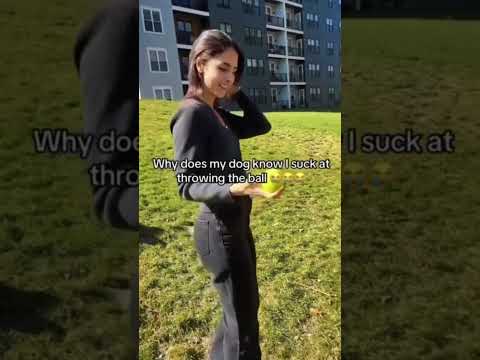Собака заранее знает, кто как бросит мяч! Удивительный ум питомца 🐶🎾#животные
