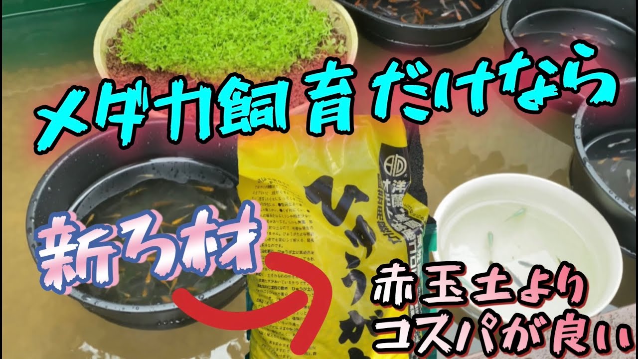 メダカ飼育だけなら赤玉土よりコスパが良い 新ろ材 Youtube