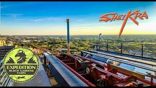 The History Of SheiKra - The First U.S Dive Coaster | Expedition Busch Gardens Tampa