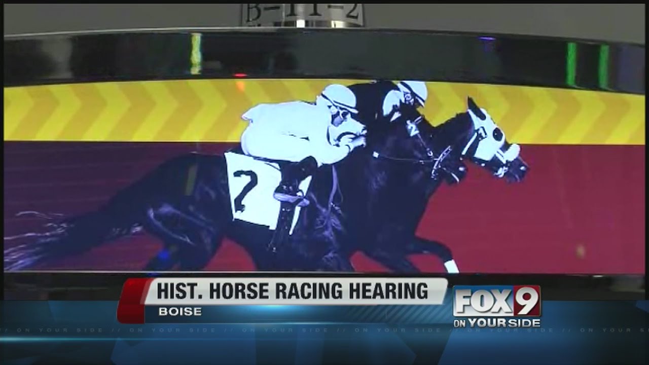 Horse race betting machines future in limbo YouTube