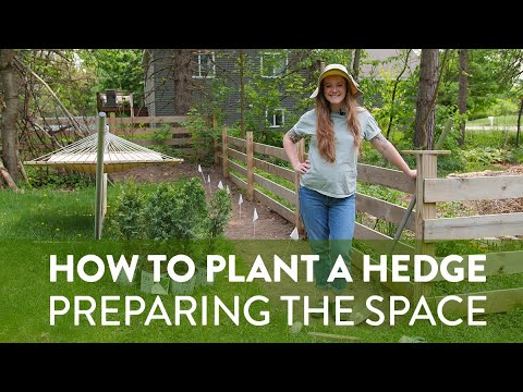 How to Plant a Hedge - Part 2 - Preparing the Space hqdefault
